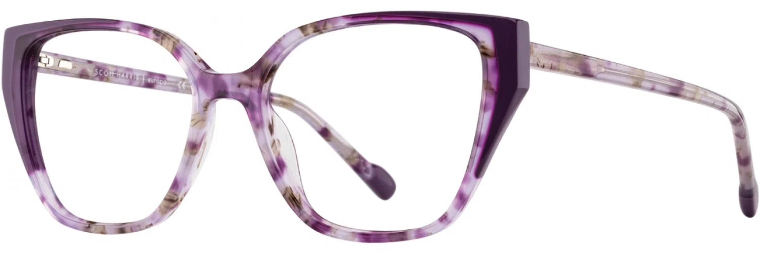 Scott Harris SH910 Eyeglasses - view 9